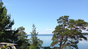 cropped-IMG_1774.jpg